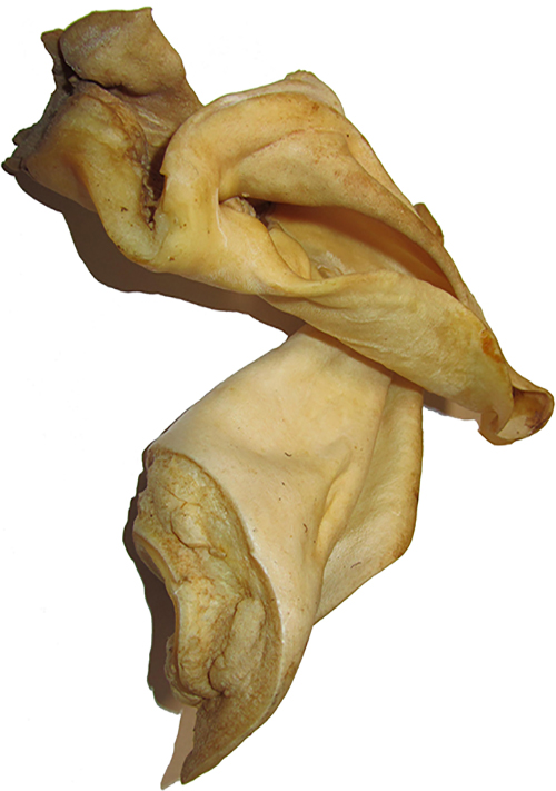 Knabberohren_weiß_Rind